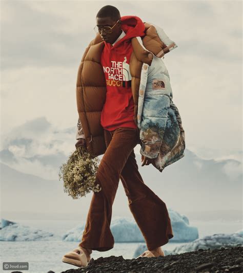 the north face x gucci: chapter 2|north face gucci shop online.